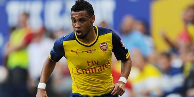 Gelandang Bertahan Arsenal Segera Mengungsi ke QPR? Gelandang Bertahan Arsenal Segera Mengungsi ke QPR?