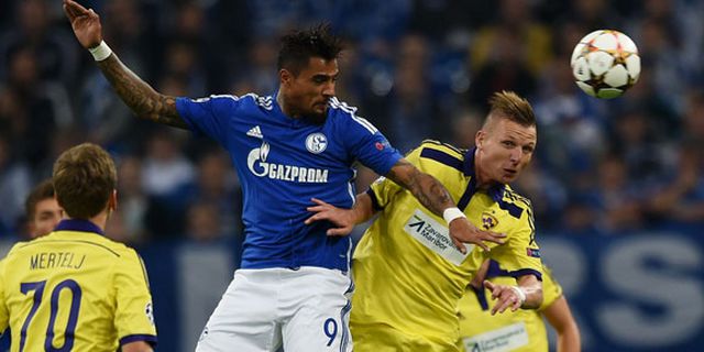 Highlights UCL: Schalke 1-1 Maribor