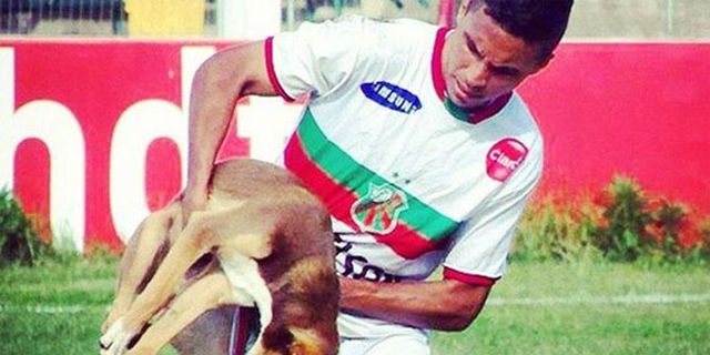 Digganggu Anjing, Pemain Brasil Ini Malah Cetak Gol Indah