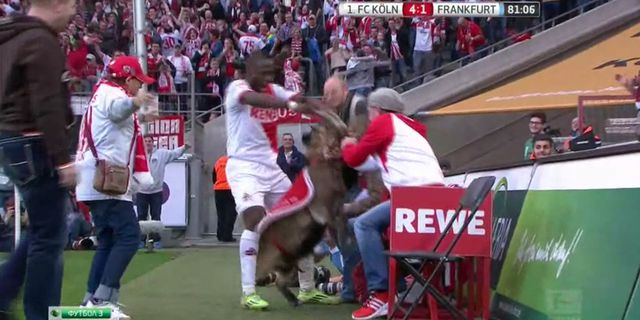 Video: Rayakan Gol, Striker Bundesliga Siksa Seekor Kambing