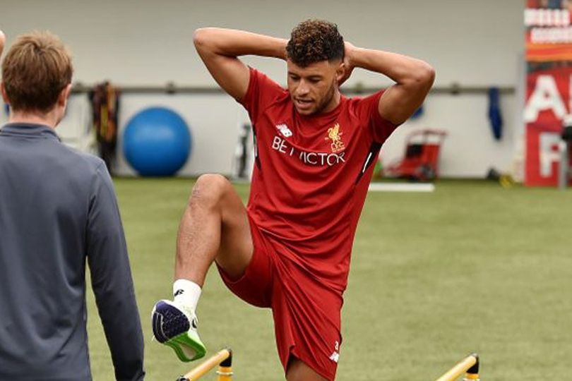 Multi Posisi Justru Hambat Perkembangan Ox-Chamberlain