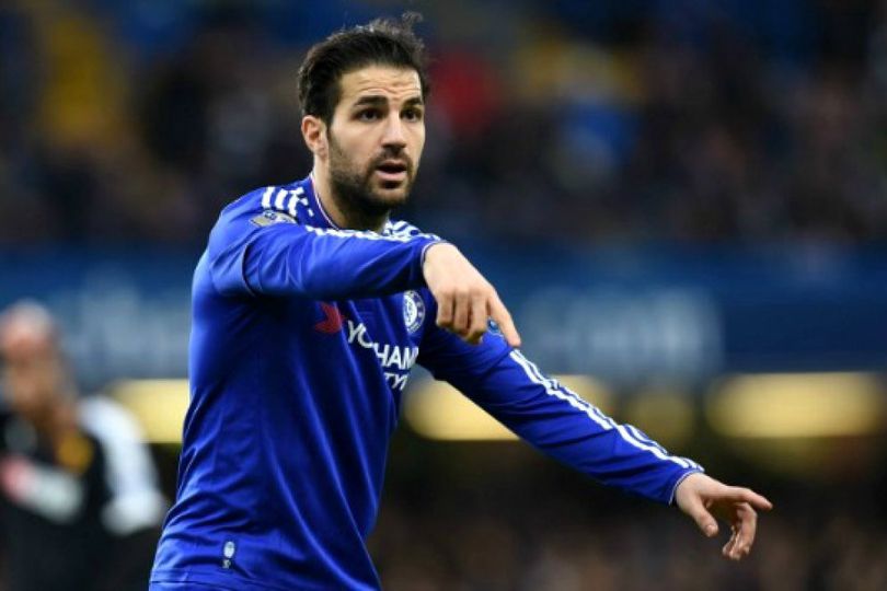 Fabregas Siapkan Rencana Hengkang dari Chelsea