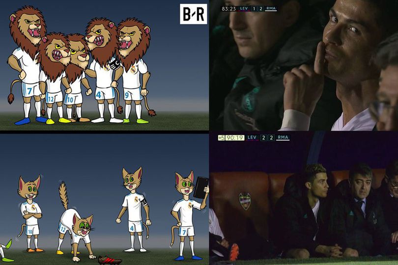 Meme Kocak Real Madrid: Dari Singa Menjadi Kucing