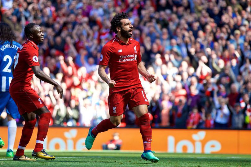 Highlights Premier League: Liverpool 4-0 Brighton