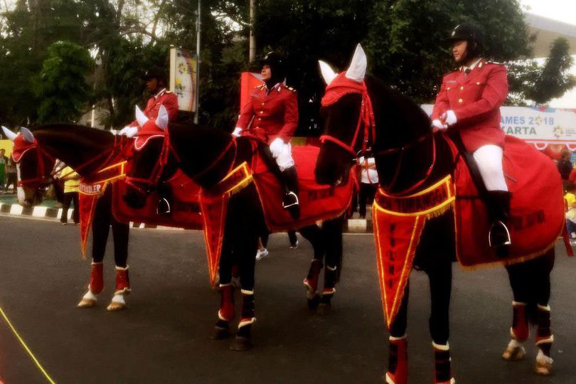 Asian Games 2018: Tampilan Menarik, Pasukan Berkuda Polri Jadi Pusat Perhatian Pengunjung Asian Games 2018: Tampilan Menarik, Pasukan Berkuda Polri Jadi Pusat Perhatian Pengunjung