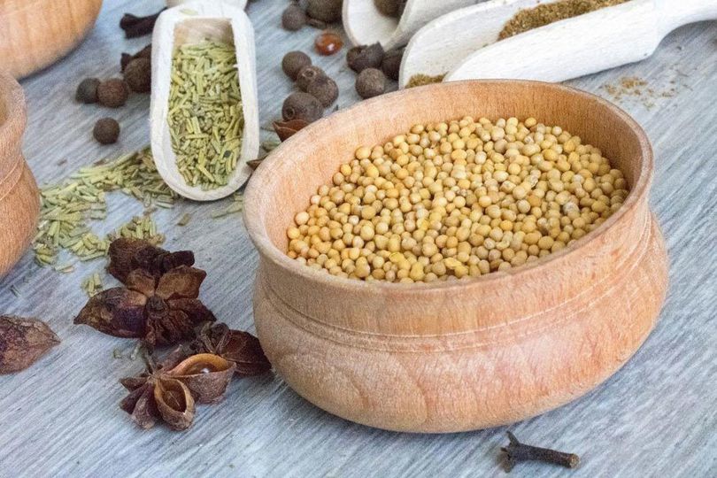 Deretan Manfaat Ketumbar bagi Kesehatan dan Kecantikan Deretan Manfaat Ketumbar bagi Kesehatan dan Kecantikan