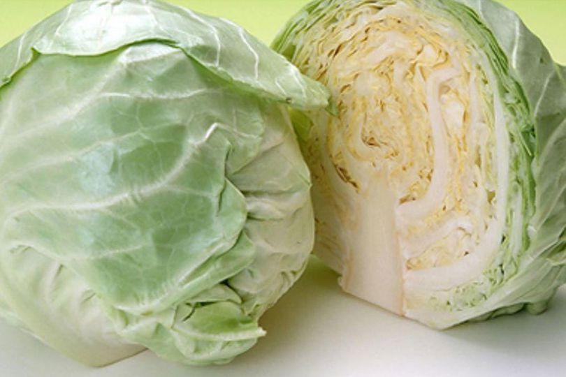 Bisa Dikonsumsi Mentah, Pahami Manfaat Sayur Kol untuk Kesehatan