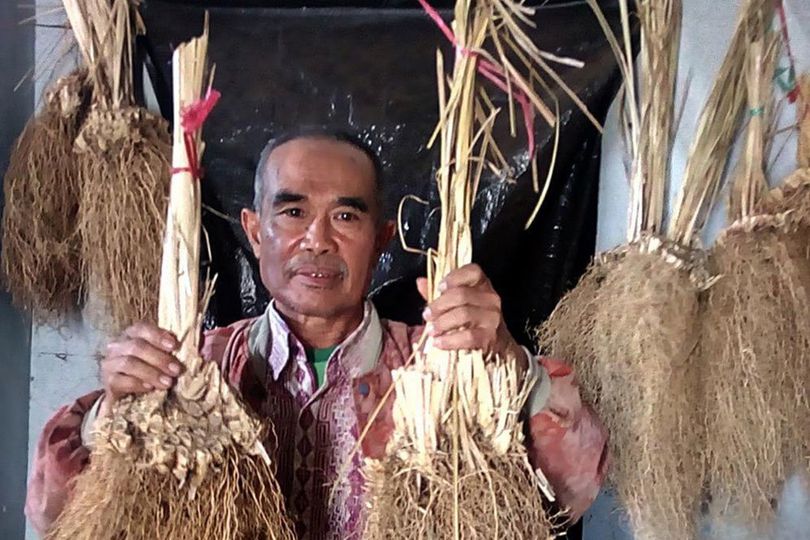 Ragam Manfaat Minyak Akar Wangi untuk Kesehatan Tubuh