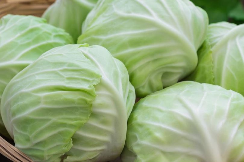 Jenis-Jenis Sayuran yang Aman Dimakan Mentah dan Kaya Nutrisi