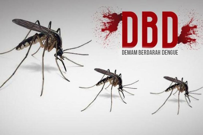 Penting, Waspadai 8 Gejala Utama Demam Berdarah