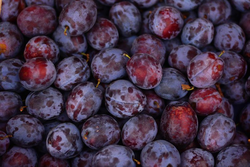 Manfaat Plum untuk Tubuh, Tinggi Kandungan Antioksidan