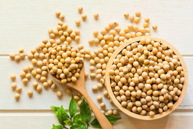 Manfaat Kacang Kedelai untuk Tubuh, Bisa Bantu Cegah Diabetes