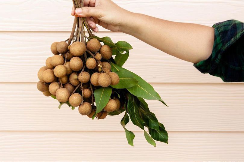 Tak Cuma Manis, Pahami Banyak Manfaat Sehat Buah Kelengkeng