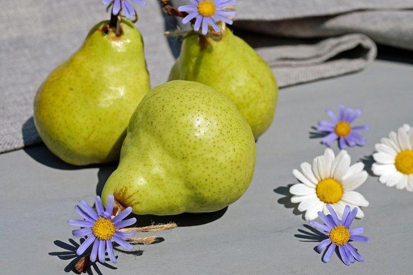 Ragam Manfaat Buah Pir untuk Keindahan Kulit dan Rambut Ragam Manfaat Buah Pir untuk Keindahan Kulit dan Rambut