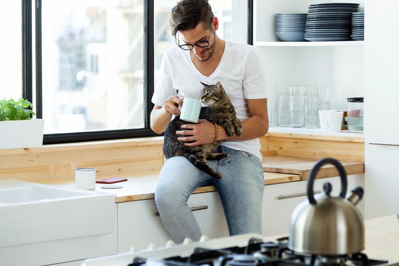 10 Alasan Kenapa Punya Kucing Bikin Hidup Jadi Lebih Hidup