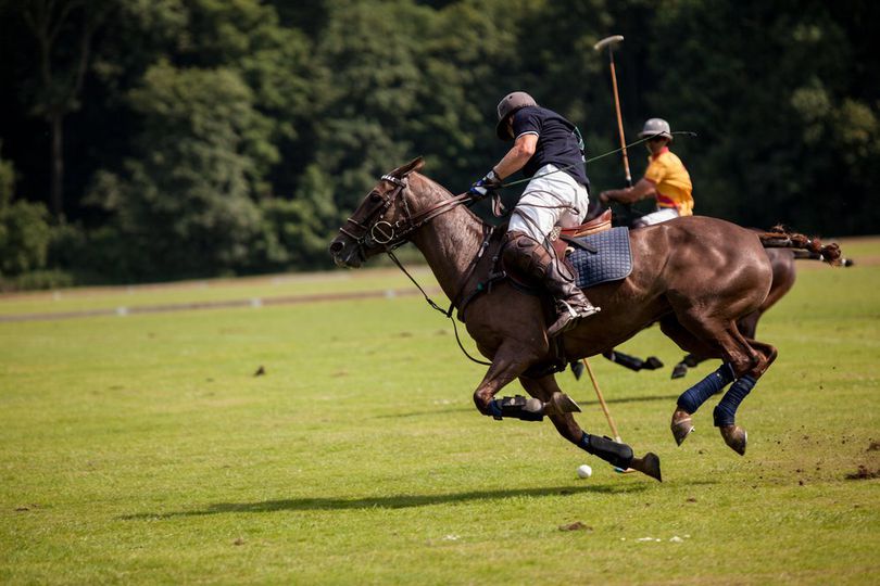 Pengertian dan Sejarah Olahraga Polo Berkuda, Kenali Juga Peraturannya Pengertian dan Sejarah Olahraga Polo Berkuda, Kenali Juga Peraturannya