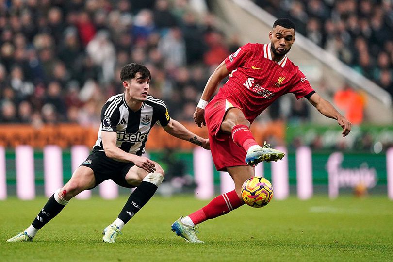 Hasil Newcastle vs Liverpool: Skor 3-3