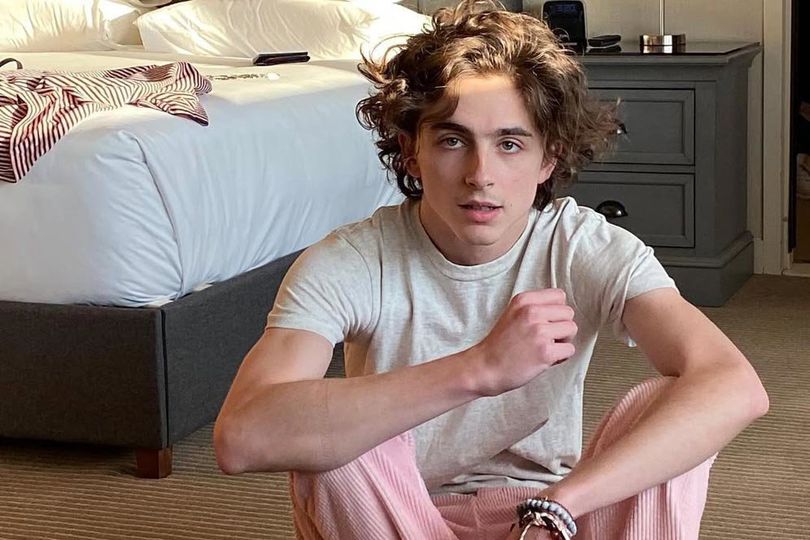 Timothee Chalamet Bakal Perankan Mantan Pembalap MotoGP di Film Karya Sutradara 'Ford vs Ferrari'