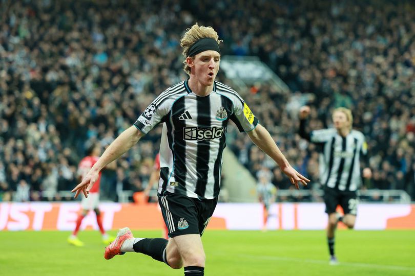 Hasil Newcastle vs Benfica: Malam Sempurna di St. James Park, Sejarah Anthony Gordon Hasil Newcastle vs Benfica: Malam Sempurna di St. James Park, Sejarah Anthony Gordon