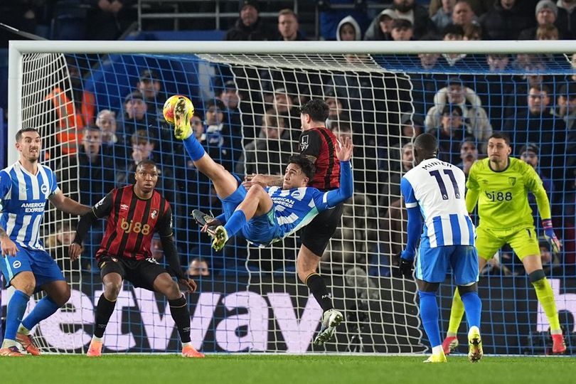 Brighton vs Bournemouth: Gol Salto Ajaib Remaja 18 Tahun Selamatkan Tuan Rumah dari Drama VAR