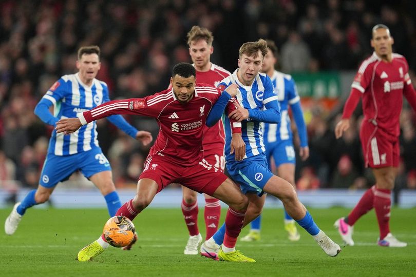 Prediksi Brighton vs Liverpool 21 Maret 2026
