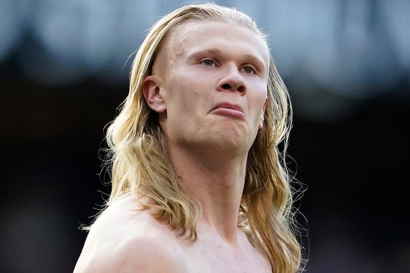 Erling Haaland sang Animal