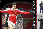 Cesc Fabregas