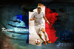 benzema france 2011