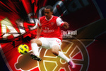 walcott 2011