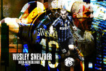 wesley sneijder