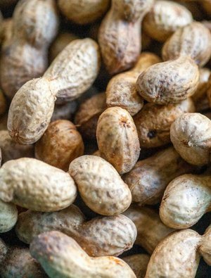 makan kacang tanah saat hamil