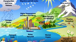 10 Faktor Penyebab Pemanasan Global Beserta Gambar Penjelasannya |  Diadona.id