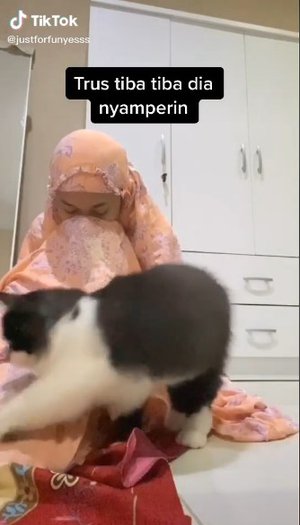 Majikan Pura-Pura Nangis, Yang Dilakukan Kucing Ini Bikin Haru 