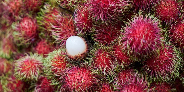 11 Manfaat Buah Rambutan Untuk Kesehatan Dan Ibu Hamil Yang Jarang Diketahui Diadona Id