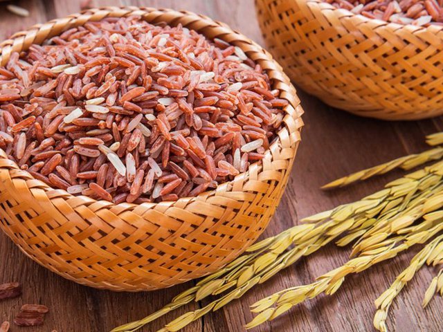 8 Cara Memasak Beras Merah Organik Dengan Rice Cooker Untuk Diet Bayi Dan Penderita Diabetes Diadona Id