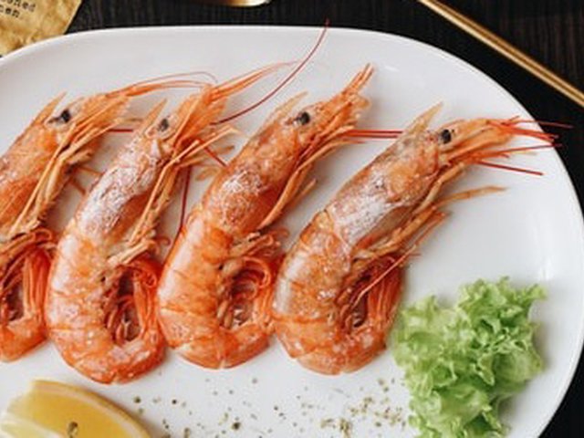 13 Manfaat Udang Untuk Ibu Hamil Diadona Id