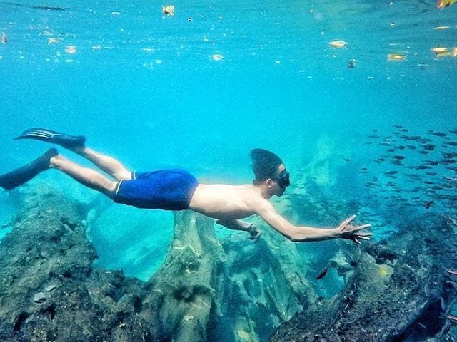 5 Spot Foto Underwater Yang Ada Di Malang Pemandangan Bawah Airnya Bikin Terpana Diadona Id