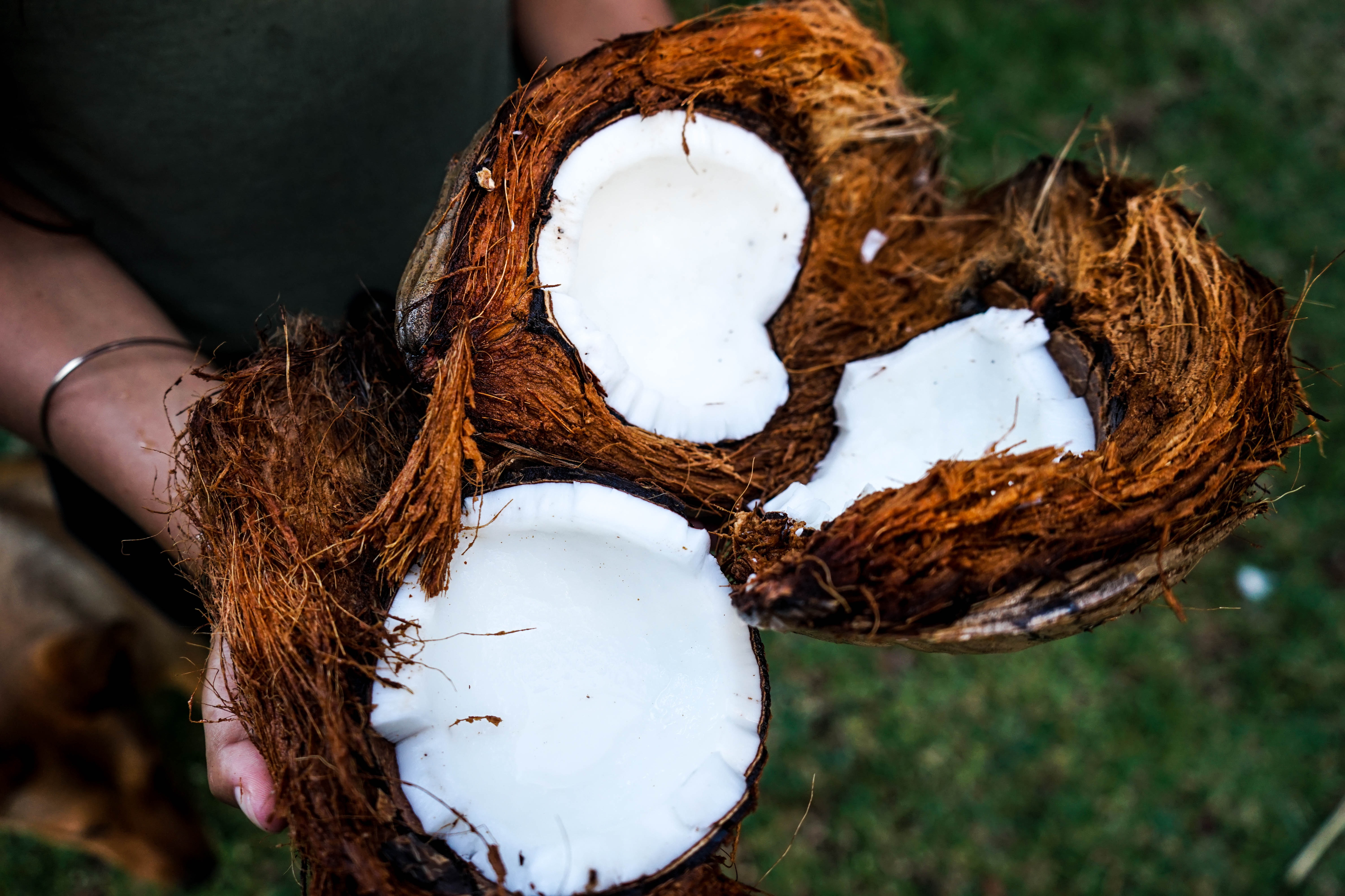 21 Manfaat Minum Air Kelapa Muda Dan Tua Untuk Pria Dan Ibu Hamil Diadona Id