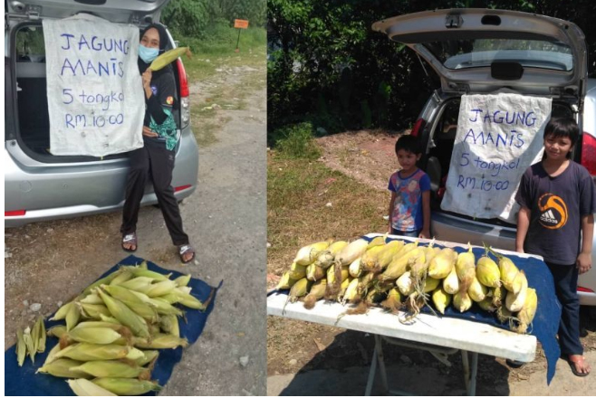  Ibu Hamil 7 Bulan Jualan Jagung Demi Menyambung Hidup