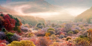 4 Destinasi Dedaunan Musim Gugur Terbaik di Korea