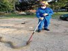 Ular kobra raksasa yang ditemukan itu panjangnya 5 meter.