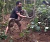 Panji Petualang diadang monster king kobra liar penghuni hutan belantara.