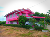 Rumah Pink Neon