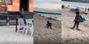 Kehidupan Kontras Dua Bocah Bermain di Pantai Ini Bikin Netizen Terharu: Beda Dunia, Beda Cerita