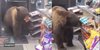 Biarkan Pintu Terbuka, Beruang Lapar `Jajan` Camilan di Minimarket