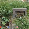 8 Potret Makam Komedian Jojon setelah 7 Tahun, Tak Disangka Beginilah Kondisinya Sekarang