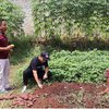 Jarang Muncul di TV! Narji Kini Tekuni Profesi Petani, 5 Penampakan Kebunnya Capai 2.400 Meter