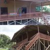 9 Potret Rumah Andrew Kalaweit ‘Tarsan Tampan’ yang Tinggal Di Tengah Hutan, Isinya Lengkap Banget!