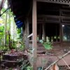 10 Potret Rumah Singgah Ahmad Dhani yang Terbengkalai 5 Tahun, Bak ‘Ditelan’ Pepohonan, Serem Abis!