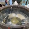 Pakai Wajan Bekas Pasir, 10 Potret Pembuatan Makanan Porsi Jumbo di India Ini Bikin Mual